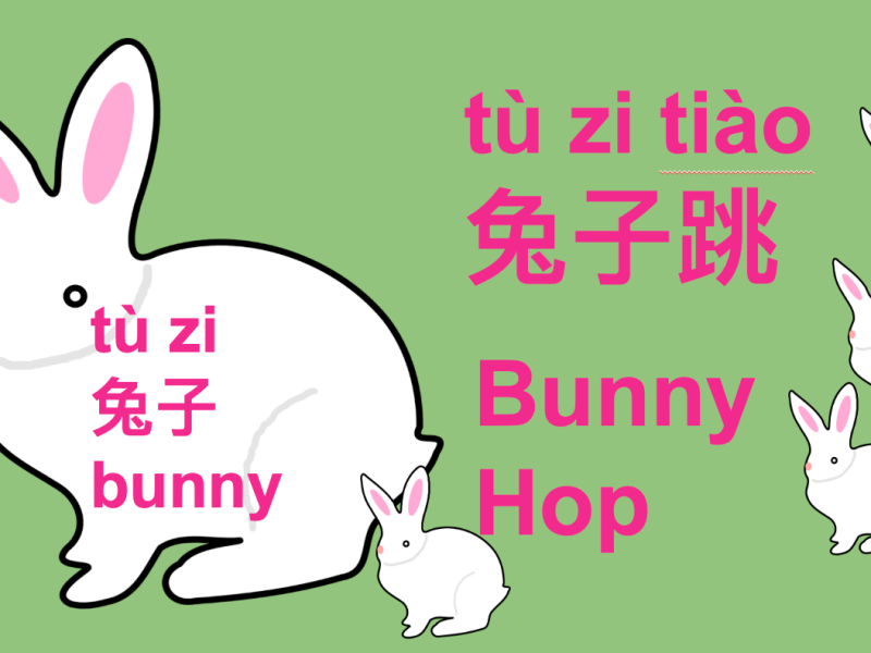 Bunny Hop in Chinese&nbsp;兔子跳
